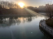 【美图】新年 运河的一缕晨光